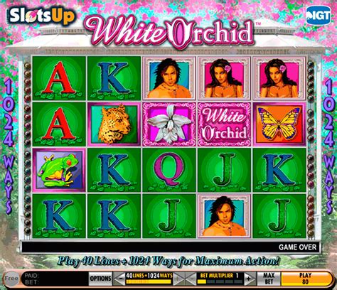 play white orchid slots online free